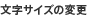 文字サイズ